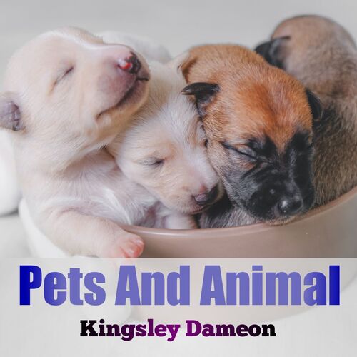 How You Can Help Fight Animal Cruelty - English Podcast - Download and  Listen Free on JioSaavn