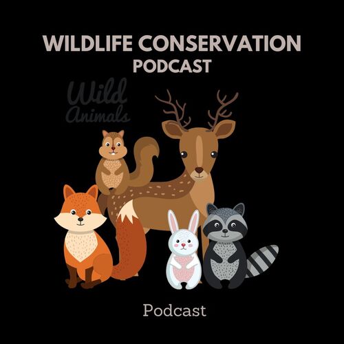 Wild Animals Podcast