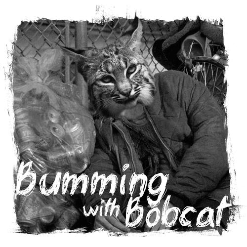 Bumming with Bobcat