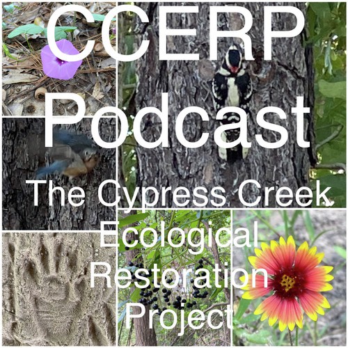 CCERP Podcast