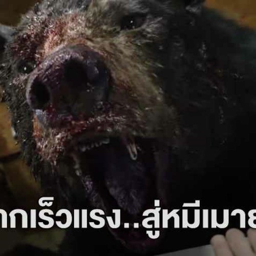 ดูหนัง หมีคลั่ง / Cocaine Bear (2023) เต็มเรื่อง HD ULTRA 4K พากย์ไทย THAI