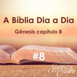 Curso Bíblico 8 - Gênesis Capítulo 8 - Arca De Noé E Os Animais ...