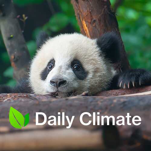Daily Climate
