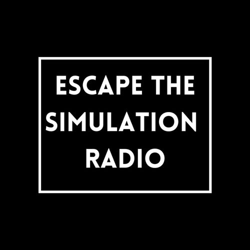Escape The Simulation