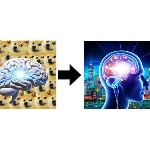 Gov Efficiency Beyond Meme: DOGE Thinking Work?