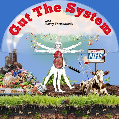 Gut the System with Harry Farnsworth