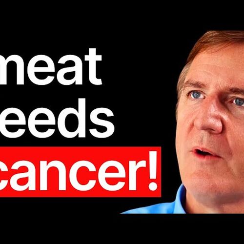 Doctor Explains: 10 True Dangers Of The Carnivore Diet From Higher ...