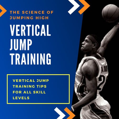 Top vertical jump online programs