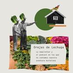 Como Mantener El Suelo F Rtil Tipos De Fertilizantes From Huerto Urbano Y Mini Casa