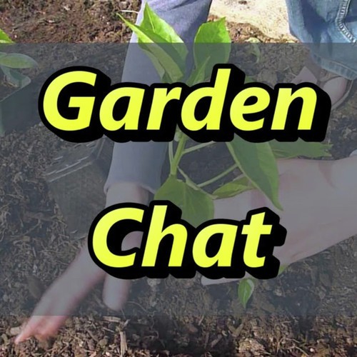 Jules Small Live Garden Chat
