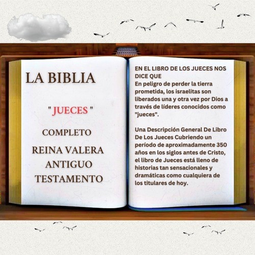 LA BIBLIA LIBRO DE LOS 