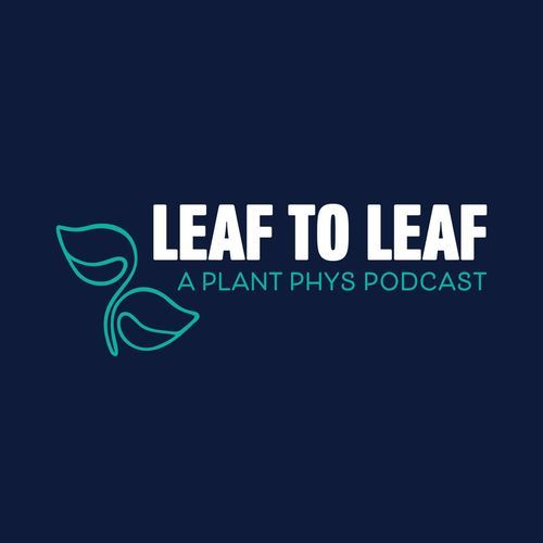 Leaf to Leaf