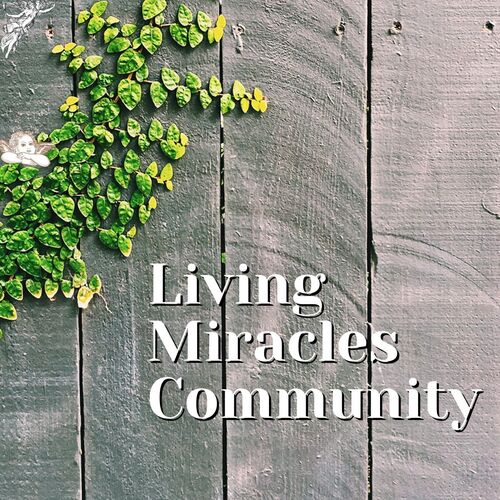 Living Miracles Community