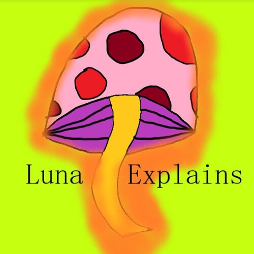 Episode 1- Miraculous Ladybug Rant from Luna Explains - Listen on JioSaavn