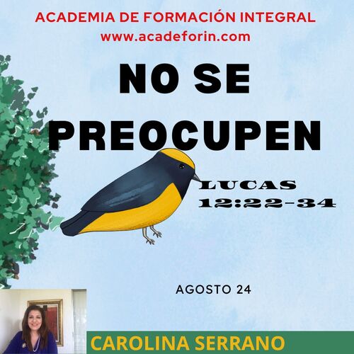 no-se-preocupen-spanish-podcast-download-and-listen-free-on-jiosaavn