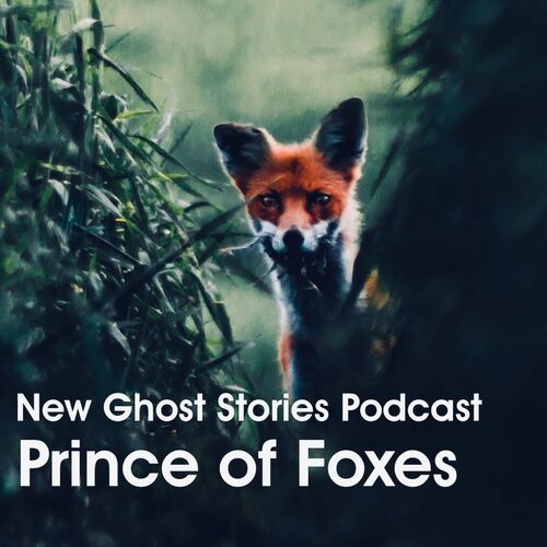 Episode image
