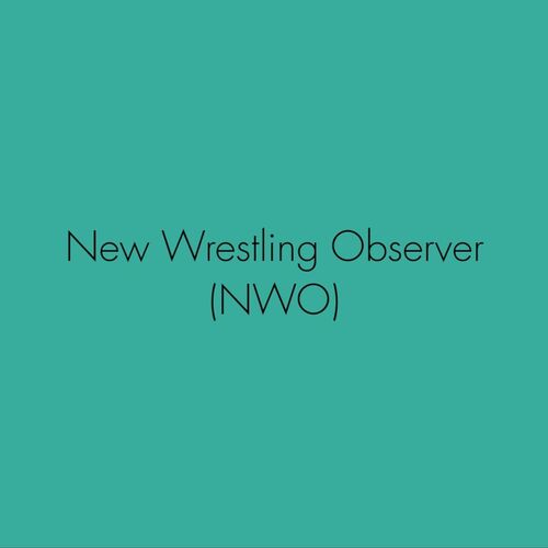 New Wrestling Observer (NWO)