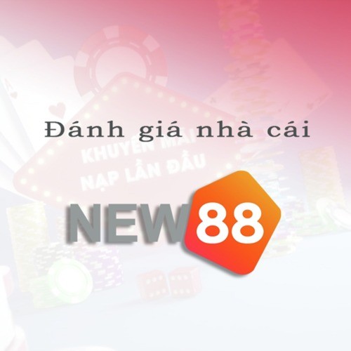 Khám Phá New88 – Nền Tảng Đổi Mới Đầy Hấp Dẫn