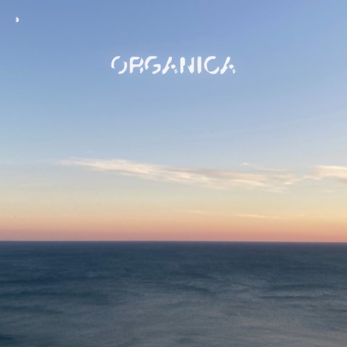 Organica - Dolcemente Elettronica