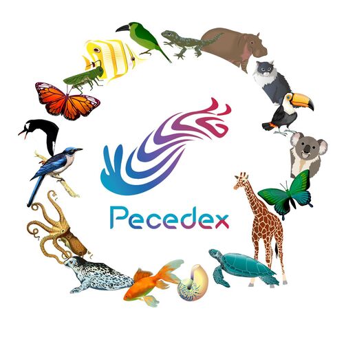 Pecedex: Hablemos de Animales