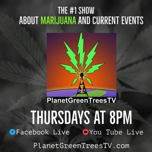 Planet Green Trees English Podcast Download And Listen Free On Jiosaavn