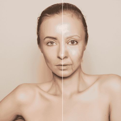 Quest for Immortality: How can humans live forever ?