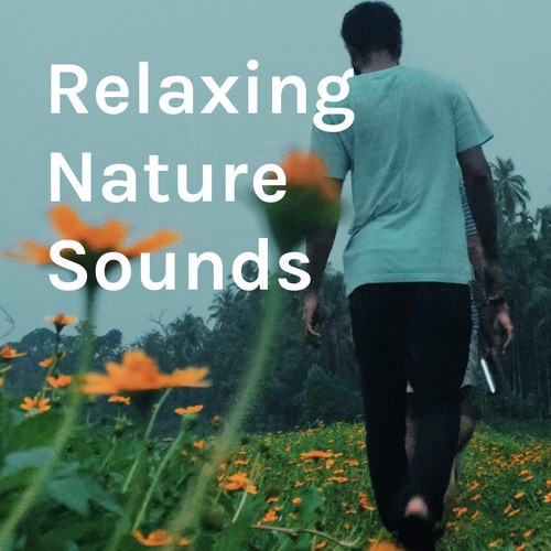 Relaxing Nature Sounds - English Podcast - Download and Listen Free on ...