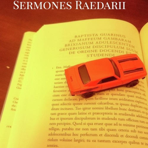 Sermones Raedarii