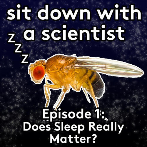 Sit Down With a Scientist