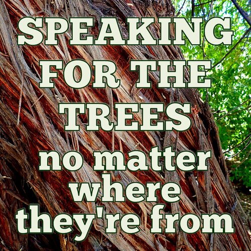 Speaking for the Trees, No Matter Where They're From