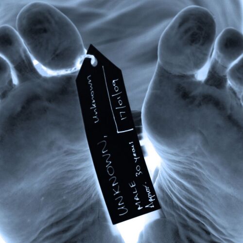 Tales From The Morgue