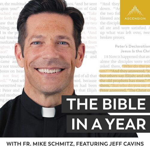Is Bible in a year with Fr. Mike Schmitz free?