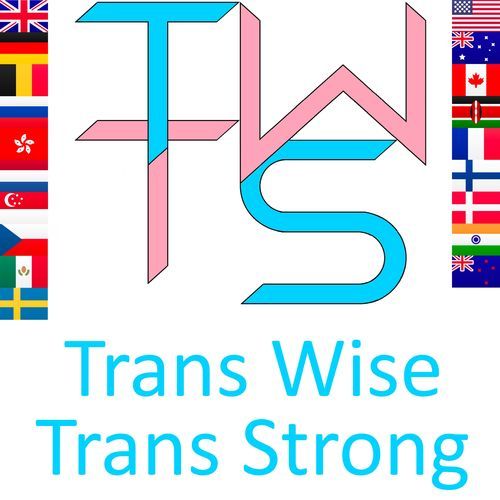 Trans Wise Trans Strong