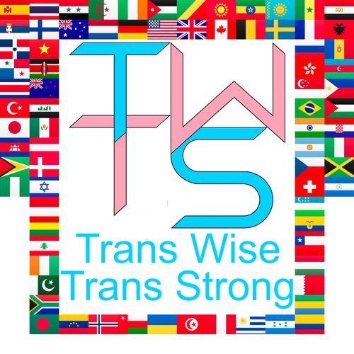 Trans Wise Trans Strong