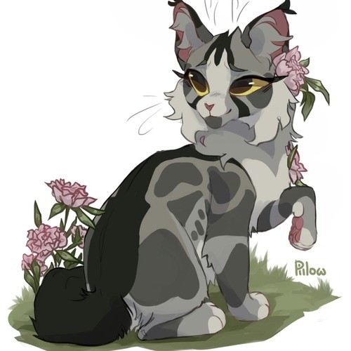 Warrior cats