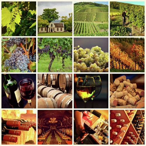 Wine Idea News